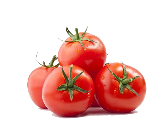 Fresh DAVA tomatoes