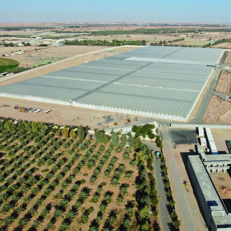 DAVA greenhouses